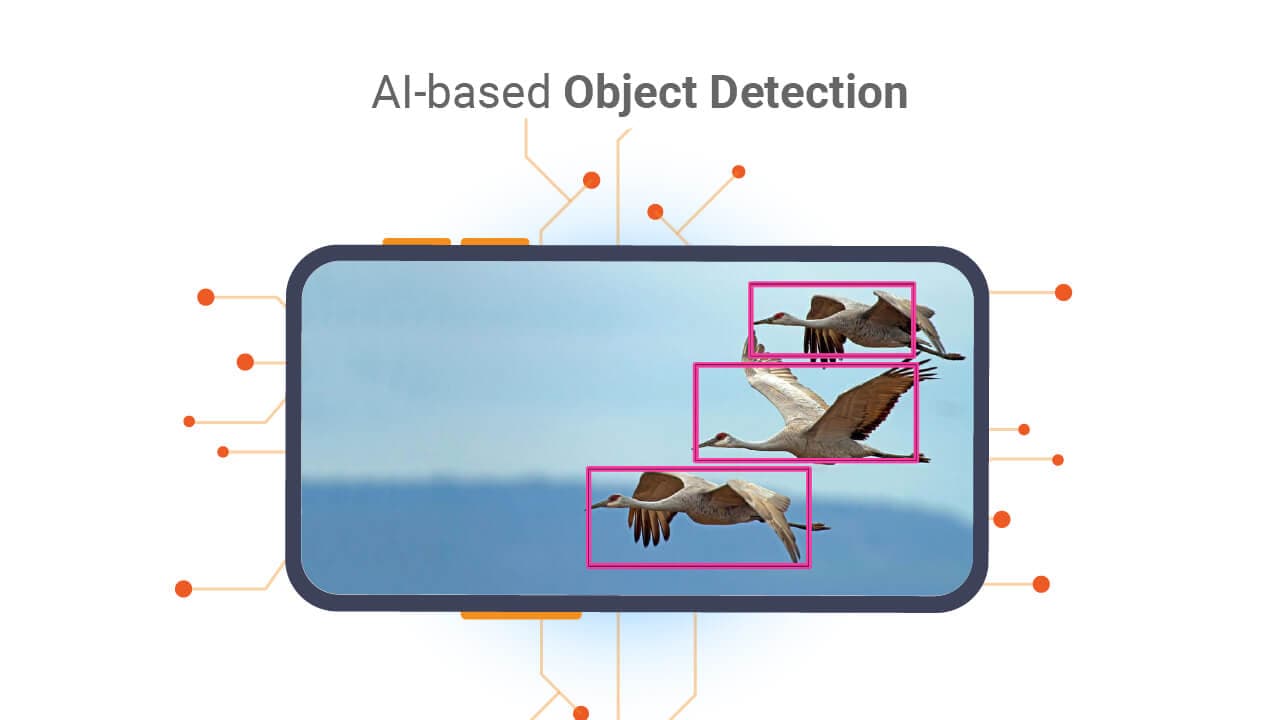 AI Detection